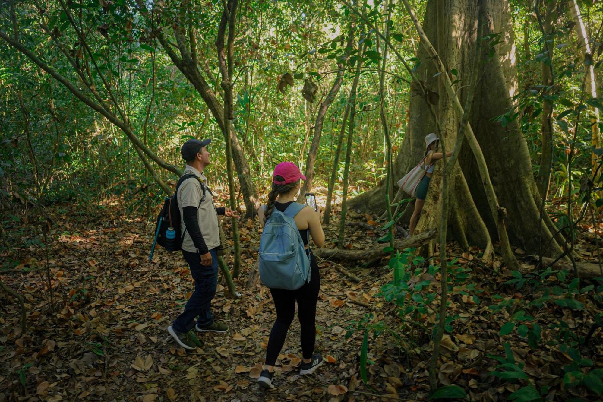 Ecohotel Yachay Tayrona Dentro Del Parque Tayrona El Zaino Extérieur photo