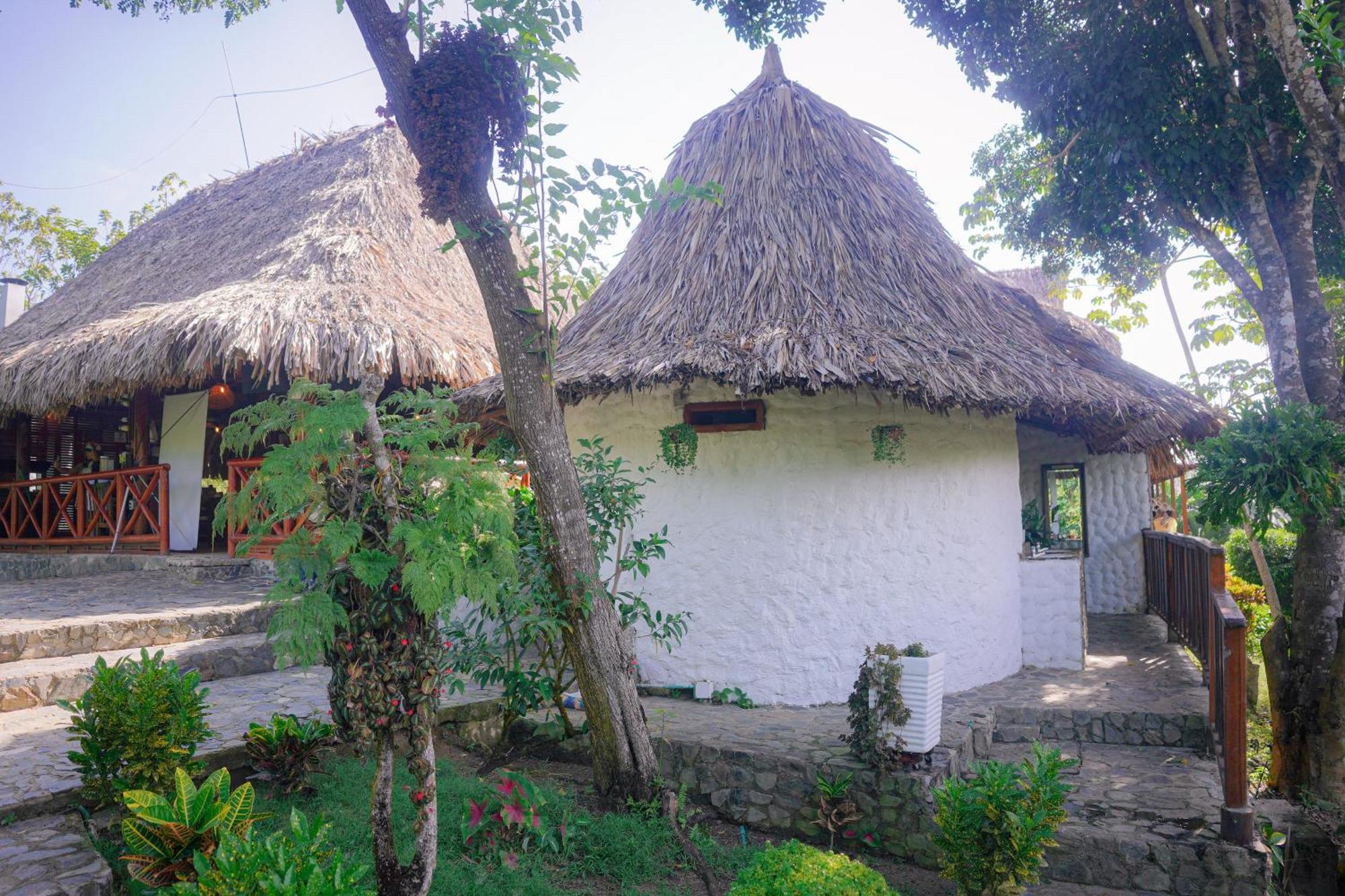 Ecohotel Yachay Tayrona Dentro Del Parque Tayrona El Zaino Extérieur photo