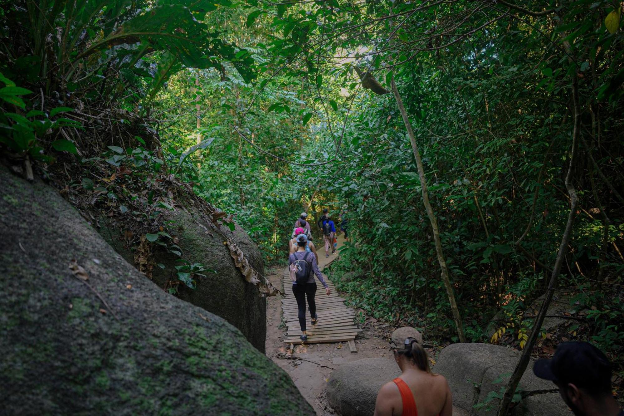 Ecohotel Yachay Tayrona Dentro Del Parque Tayrona El Zaino Extérieur photo